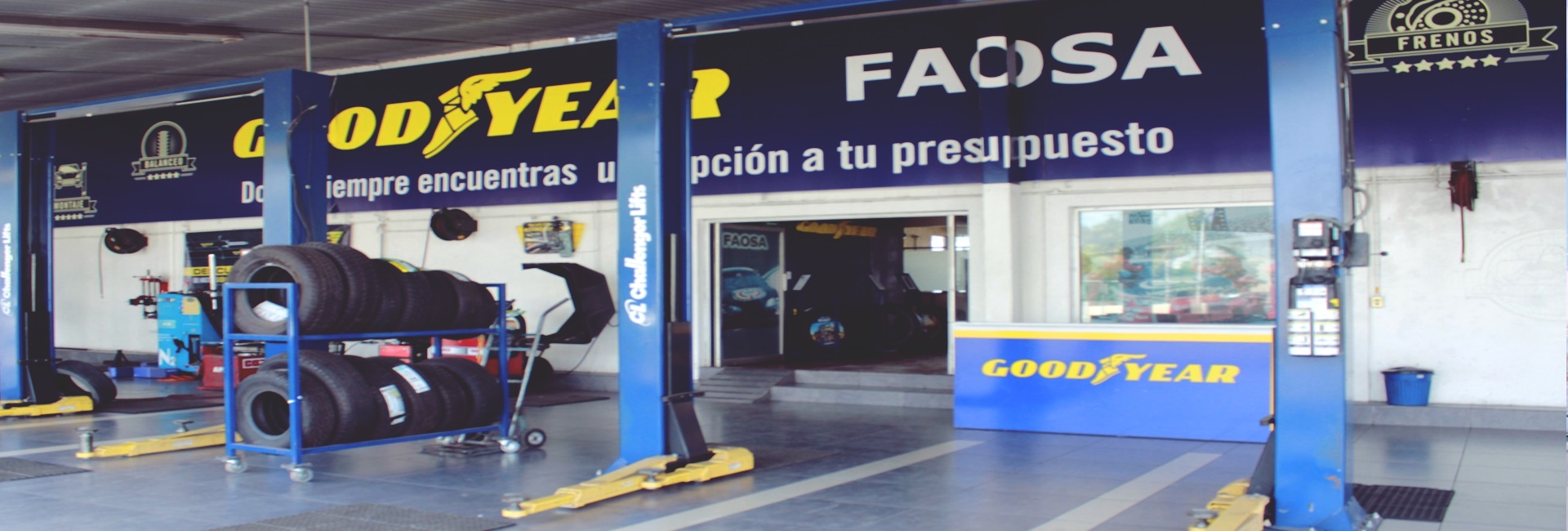 Goodyear Faosa Matriz